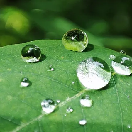 Chwile W Starym Saczu, Sauna I Beczka 빌라